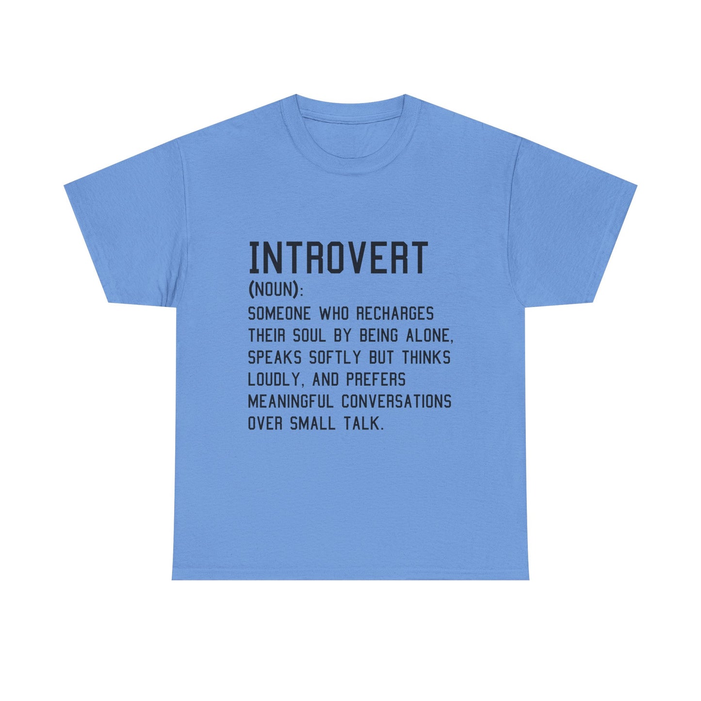 Casual Introvert Noun Definition Tee