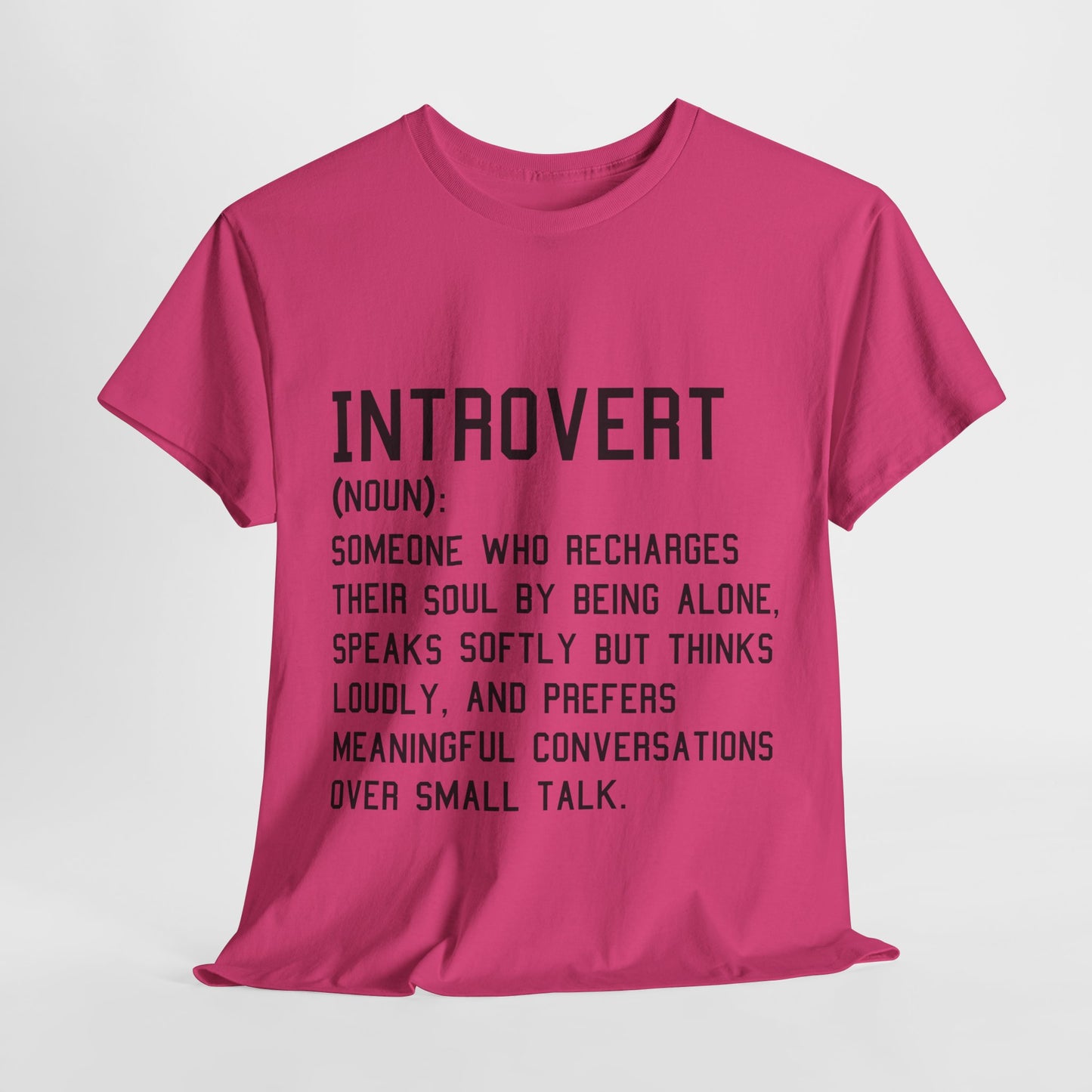 Casual Introvert Noun Definition Tee