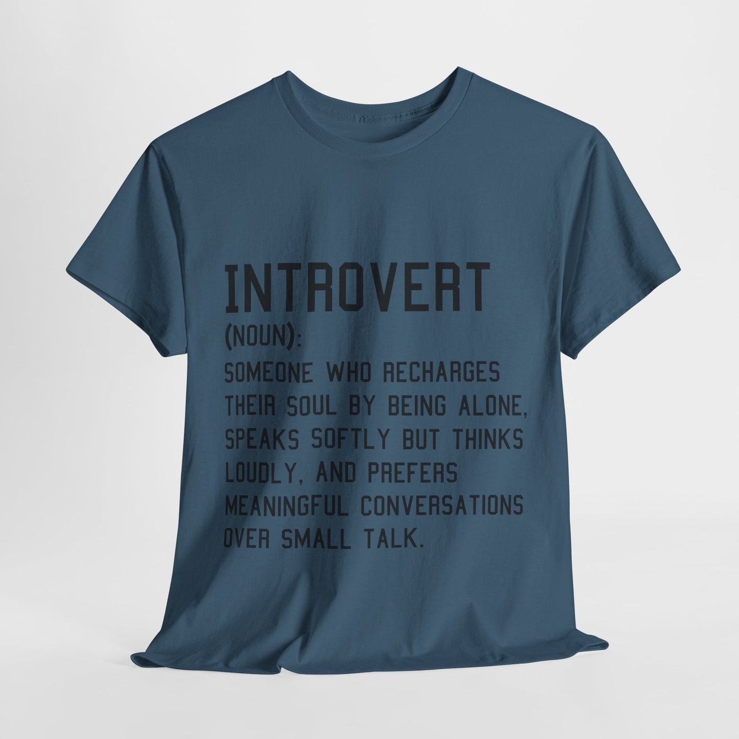 Casual Introvert Noun Definition Tee