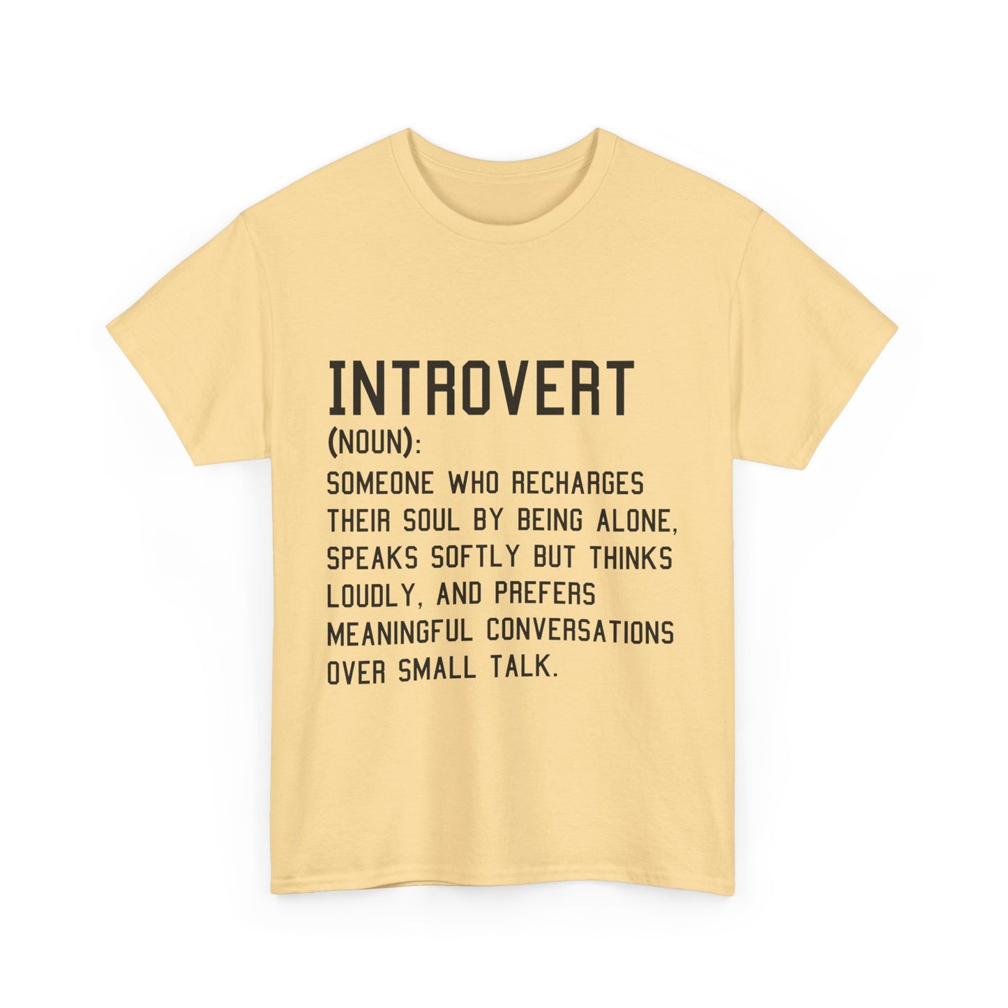 Casual Introvert Noun Definition Tee