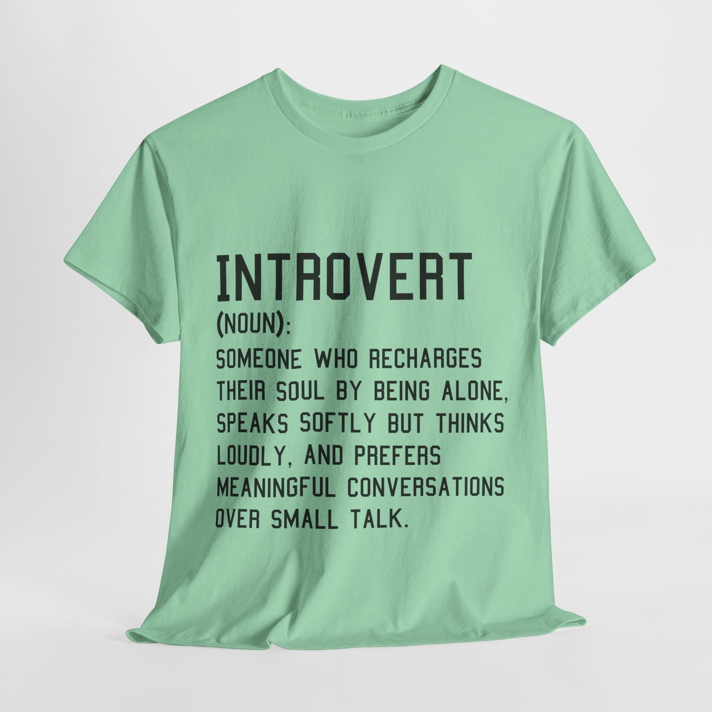 Casual Introvert Noun Definition Tee
