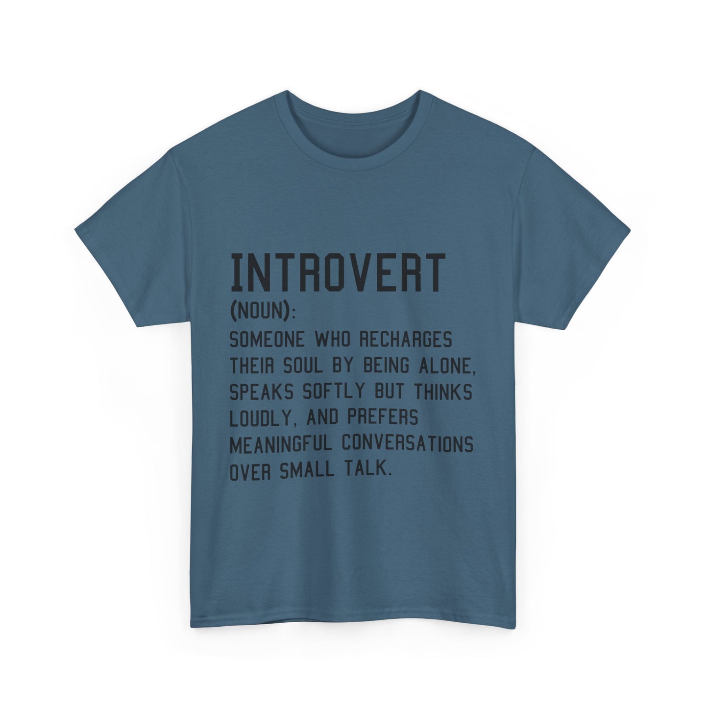 Casual Introvert Noun Definition Tee