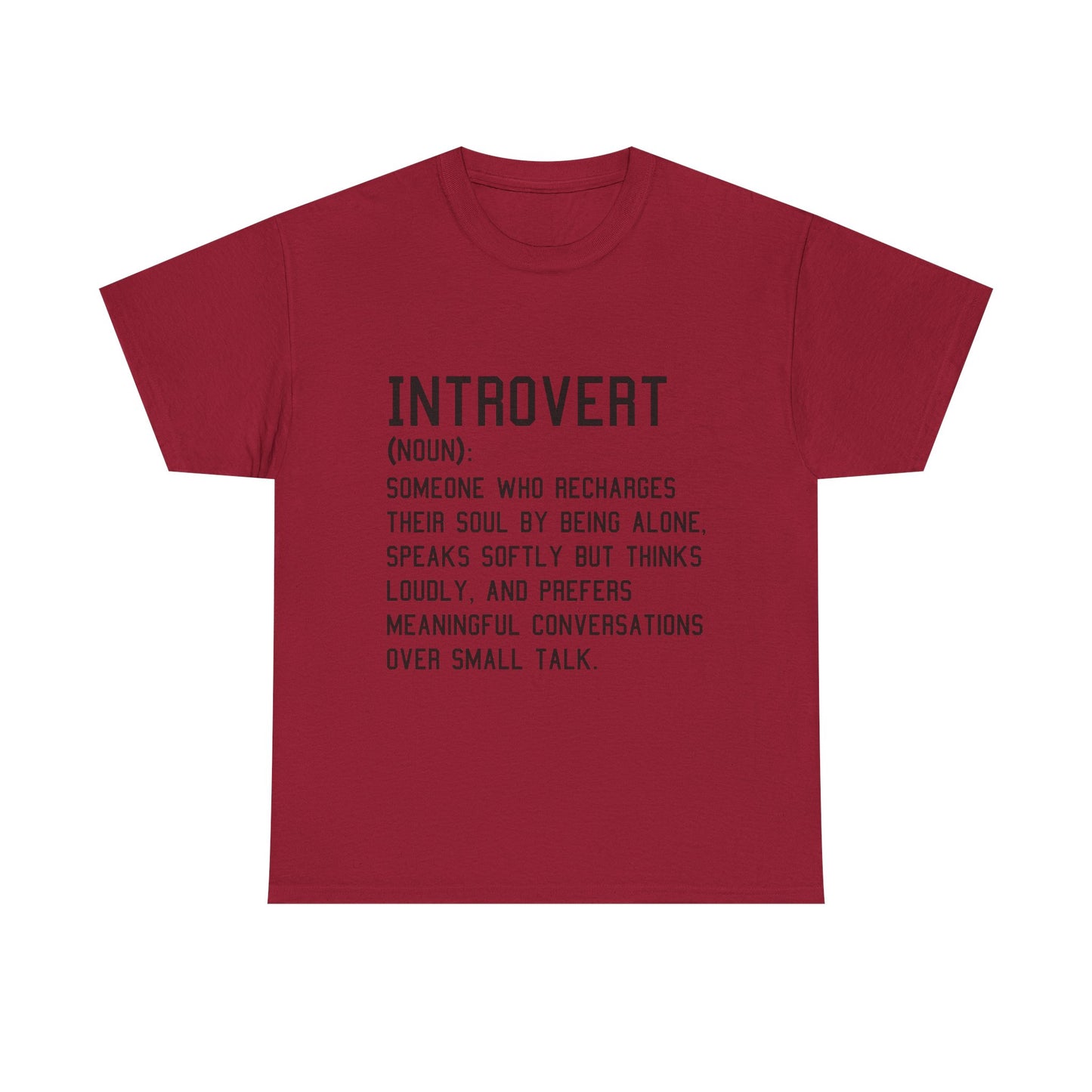 Casual Introvert Noun Definition Tee