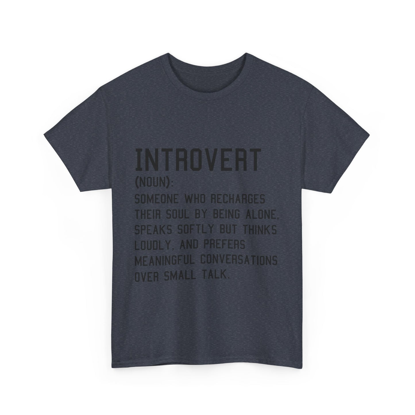 Casual Introvert Noun Definition Tee