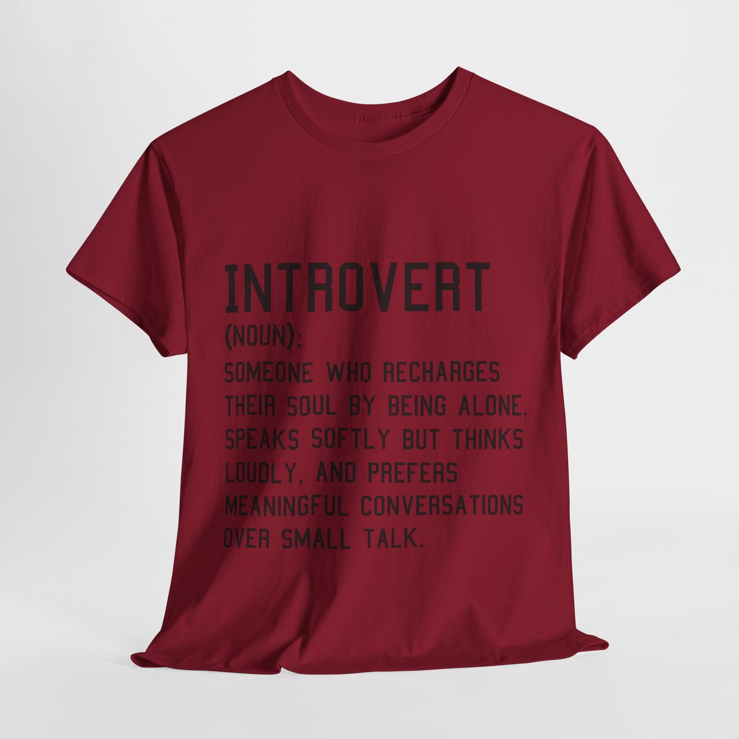 Casual Introvert Noun Definition Tee