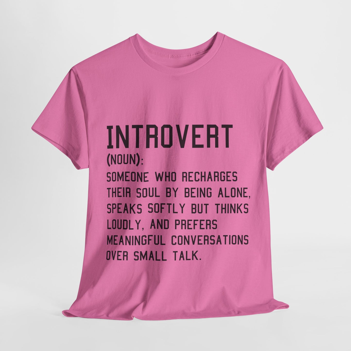 Casual Introvert Noun Definition Tee