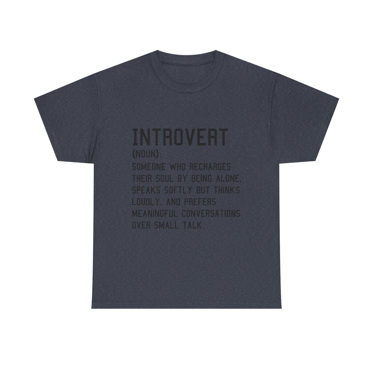 Casual Introvert Noun Definition Tee