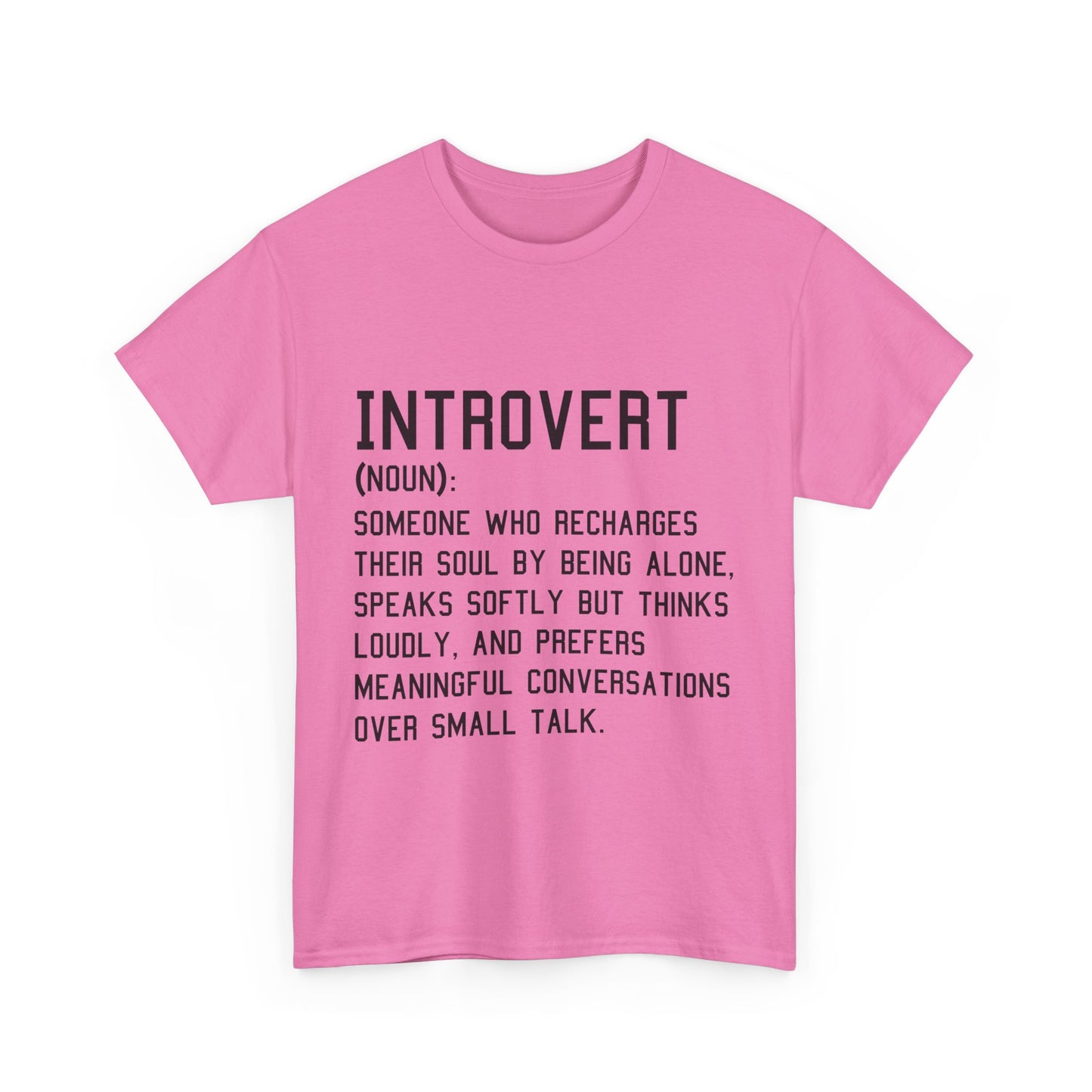 Casual Introvert Noun Definition Tee