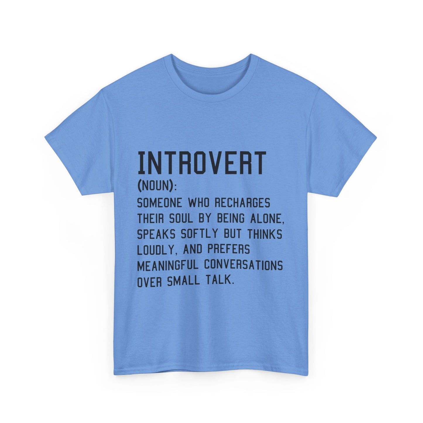 Casual Introvert Noun Definition Tee