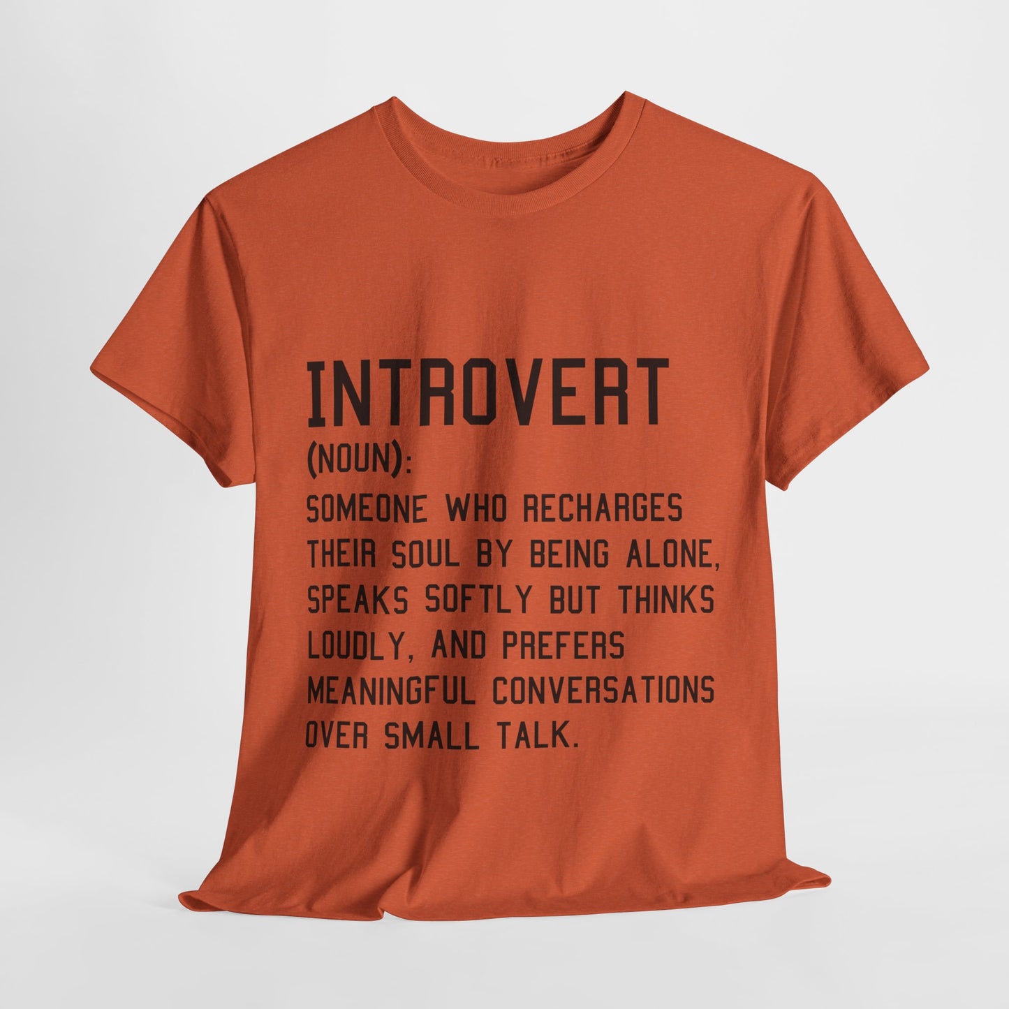 Casual Introvert Noun Definition Tee