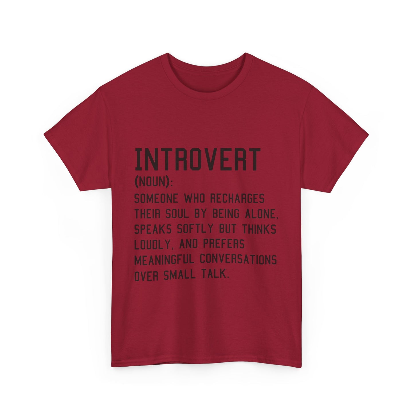Casual Introvert Noun Definition Tee