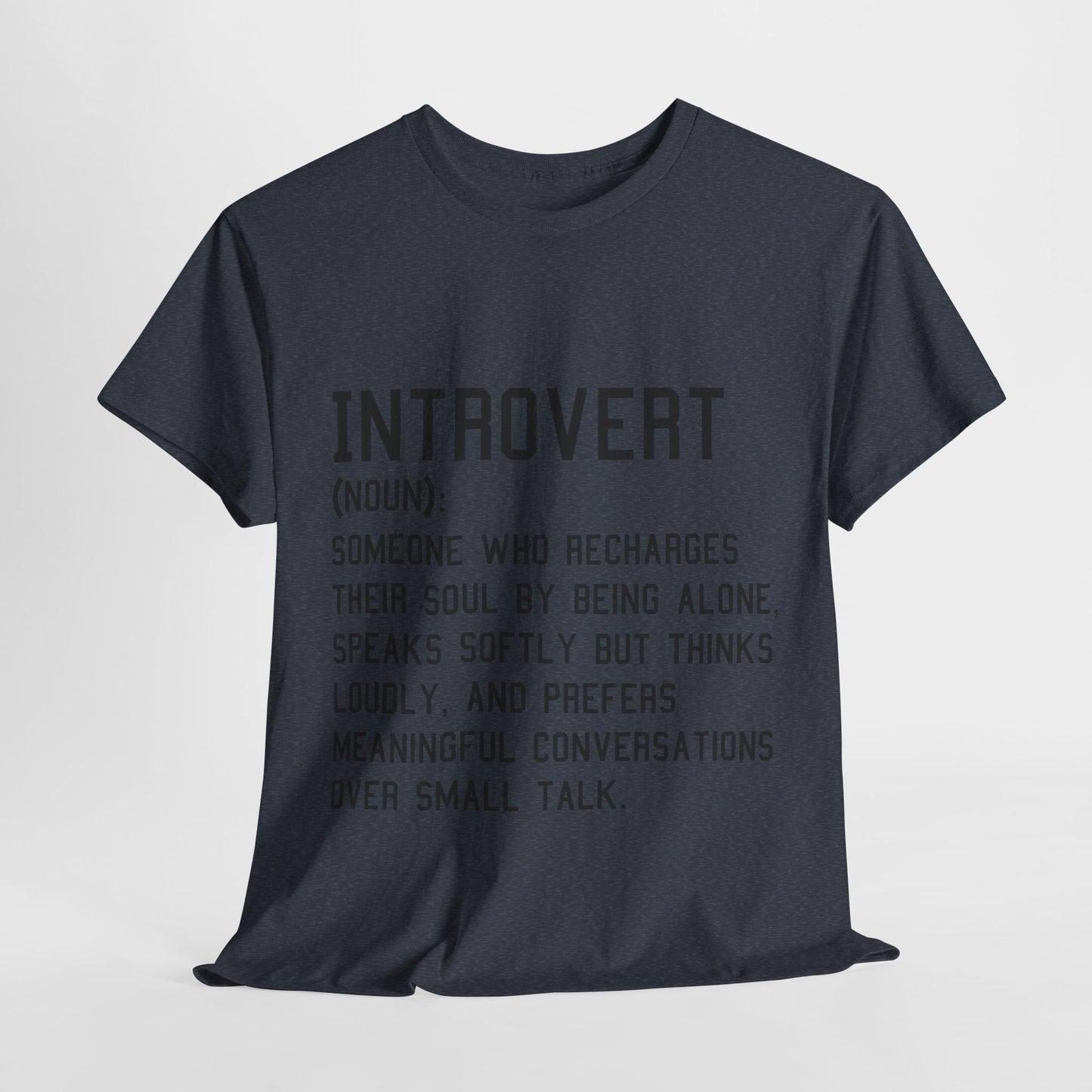 Casual Introvert Noun Definition Tee