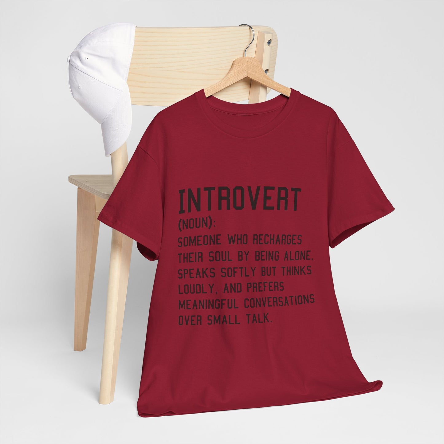 Casual Introvert Noun Definition Tee