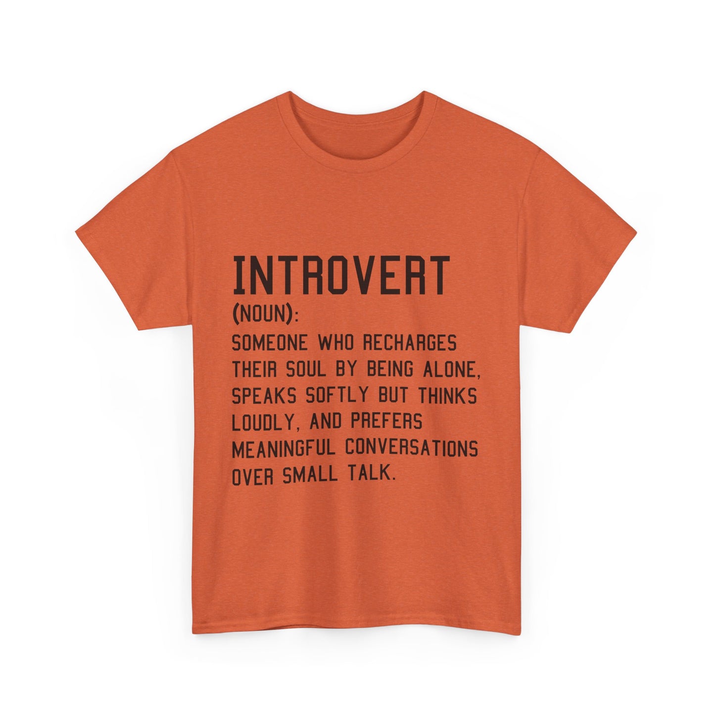 Casual Introvert Noun Definition Tee