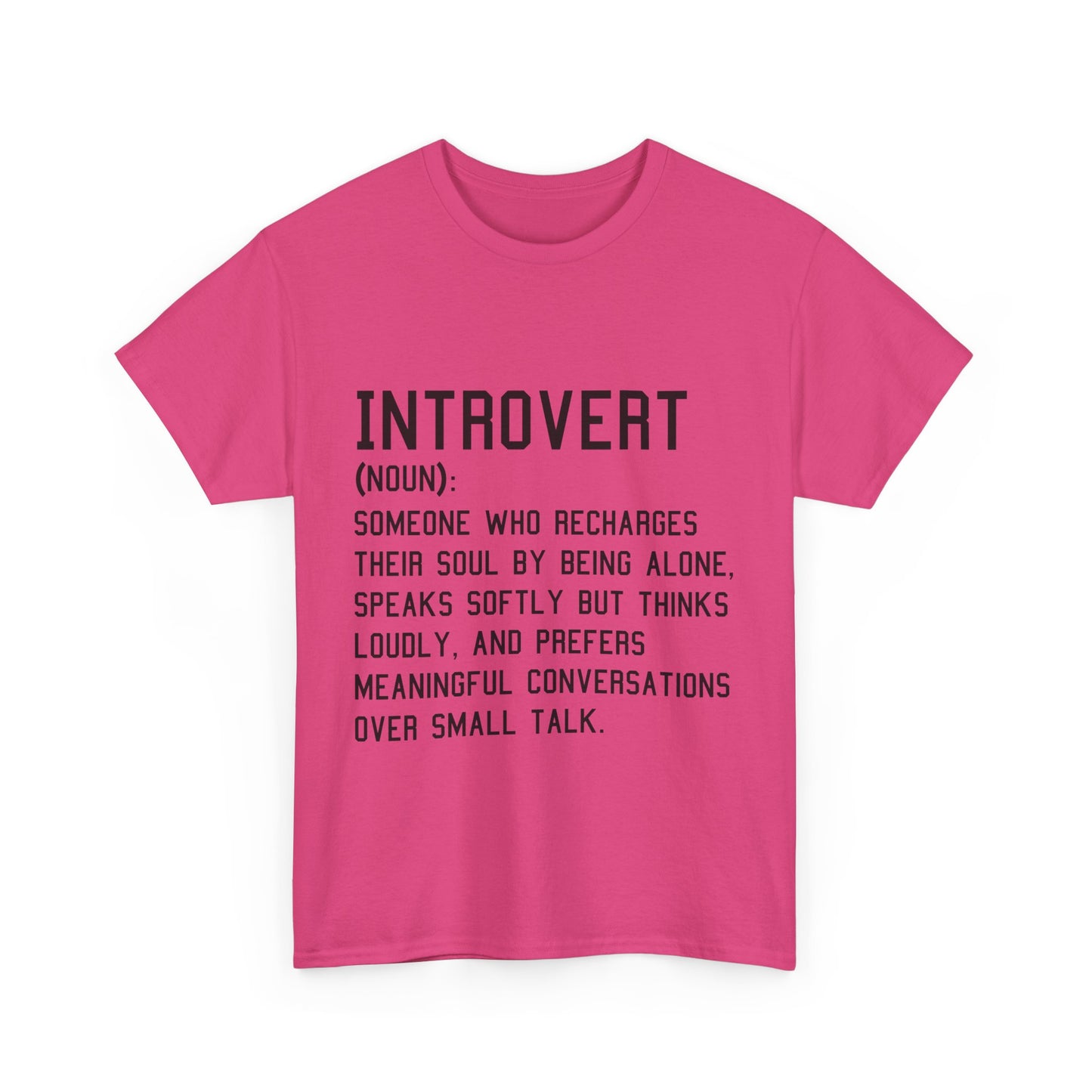Casual Introvert Noun Definition Tee