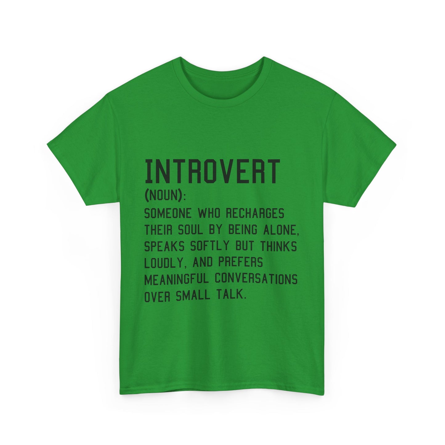 Casual Introvert Noun Definition Tee