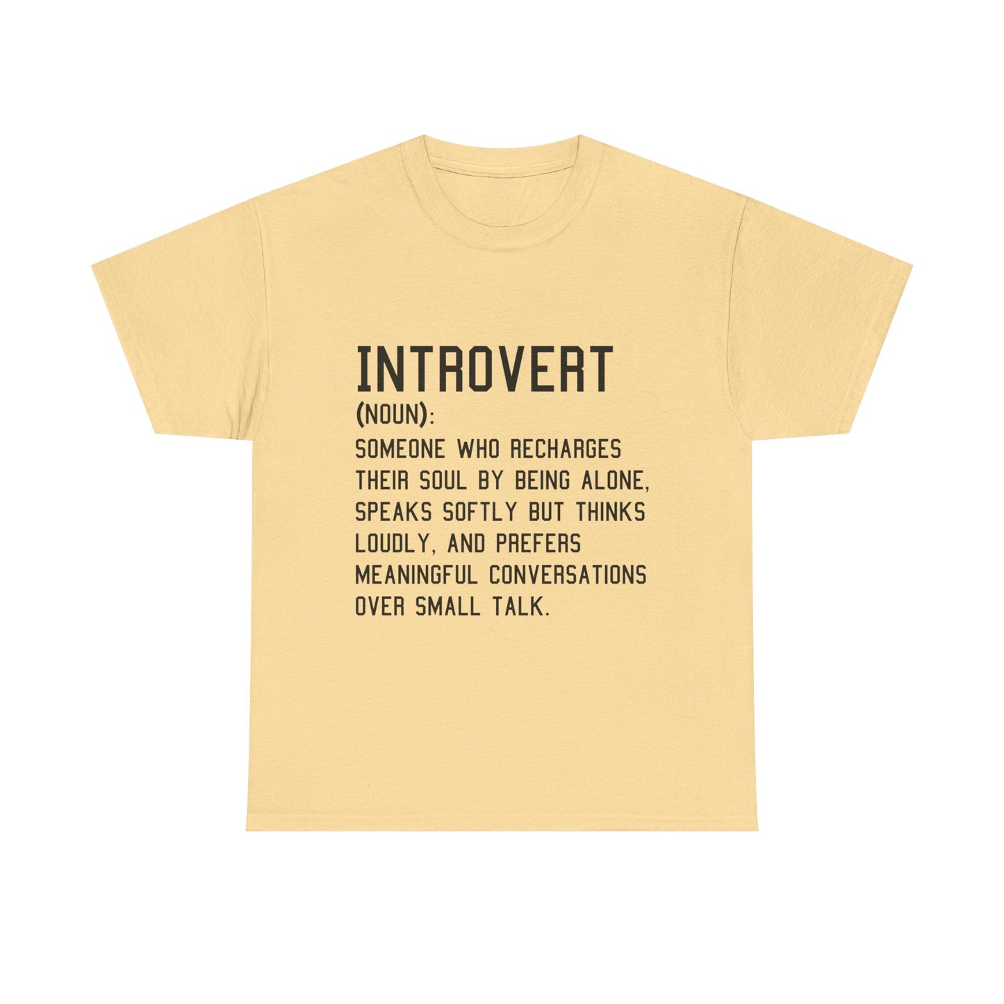 Casual Introvert Noun Definition Tee