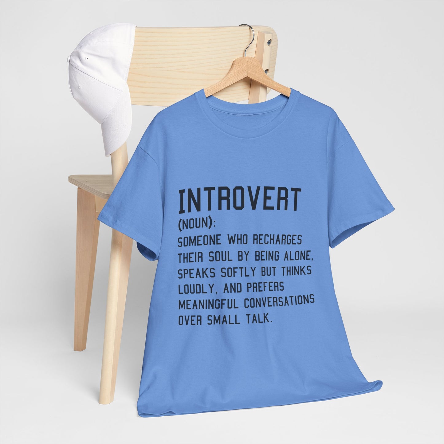 Casual Introvert Noun Definition Tee