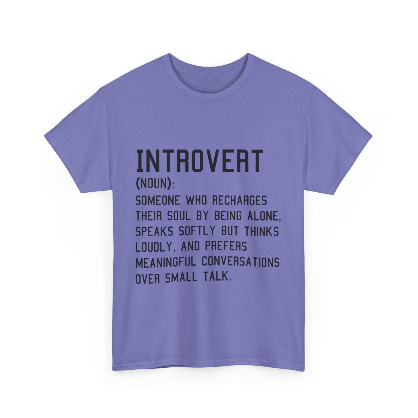 Casual Introvert Noun Definition Tee