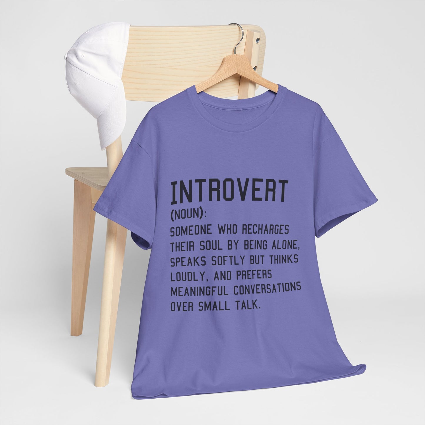 Casual Introvert Noun Definition Tee