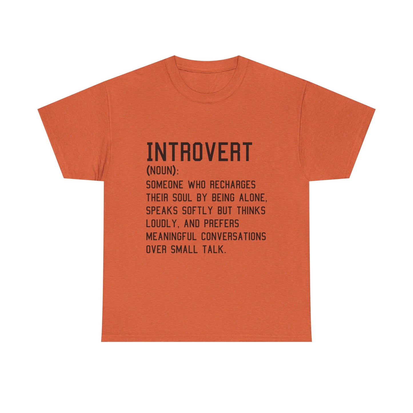 Casual Introvert Noun Definition Tee