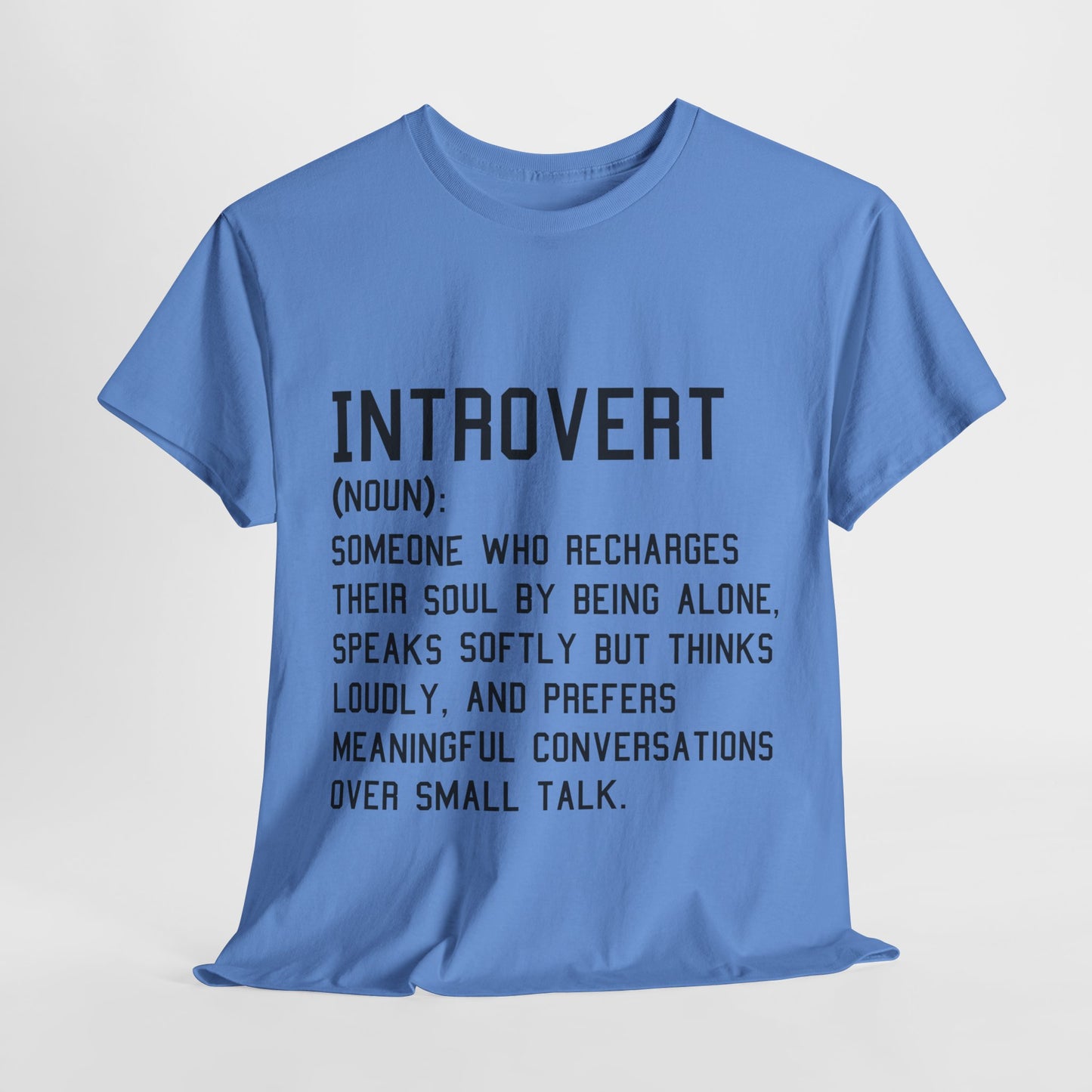 Casual Introvert Noun Definition Tee