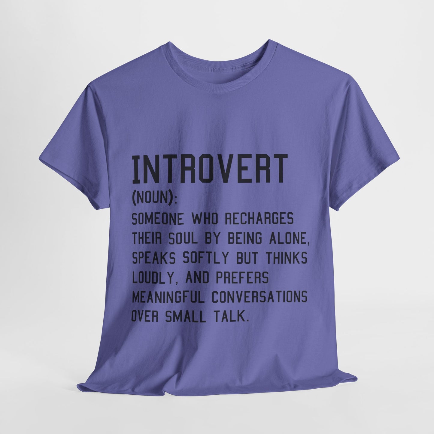 Casual Introvert Noun Definition Tee