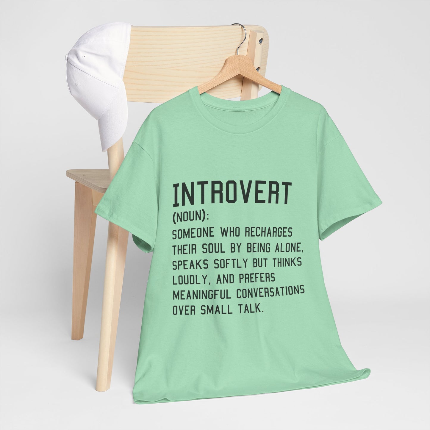 Casual Introvert Noun Definition Tee