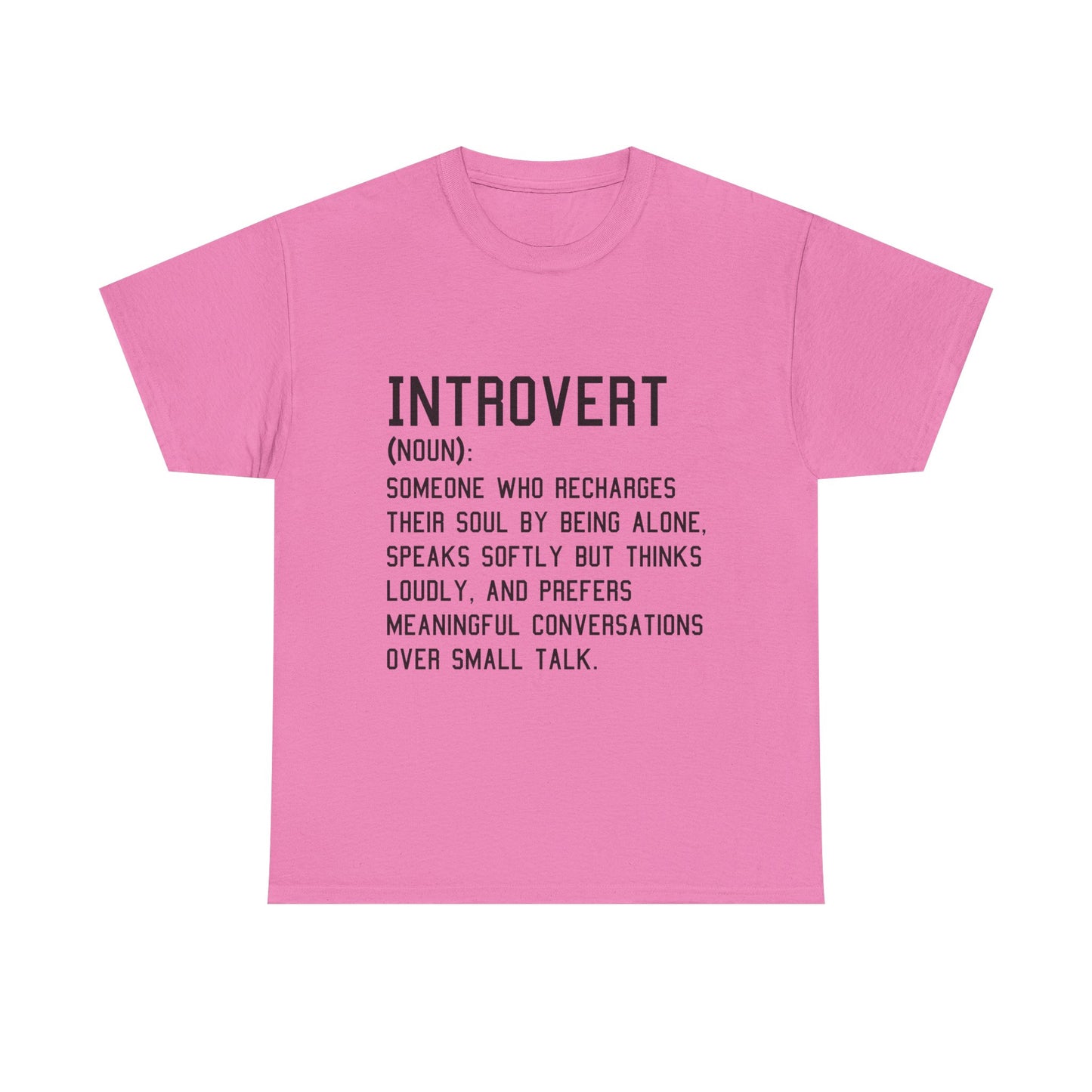 Casual Introvert Noun Definition Tee