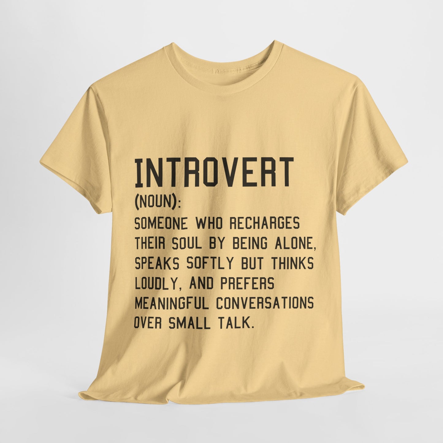 Casual Introvert Noun Definition Tee